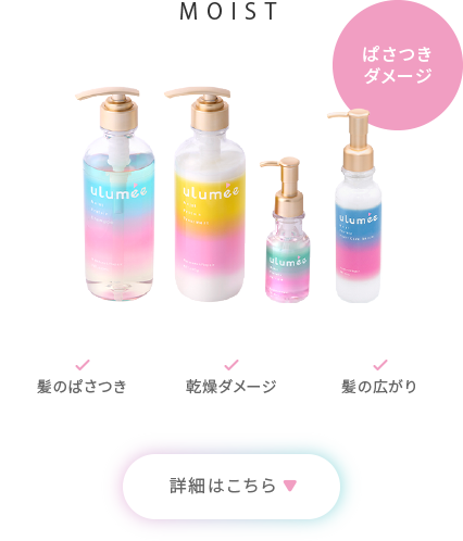 MOIST「ぱさつきダメージ」髪のぱさつき、乾燥ダメージ、髪の広がり　詳細はこちら