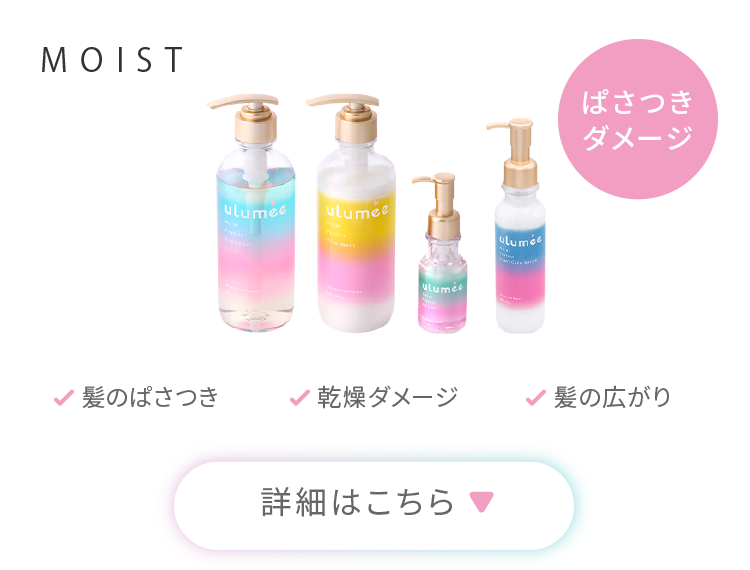 MOIST「ぱさつきダメージ」髪のぱさつき、乾燥ダメージ、髪の広がり　詳細はこちら