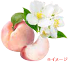 ※イメージ